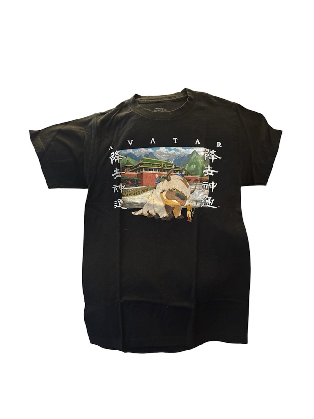 New Avatar The Last Airbender Appa Flying Bison T-Shirt Sz Sm Black Nickelodeon